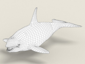 killer whale Modello 3D