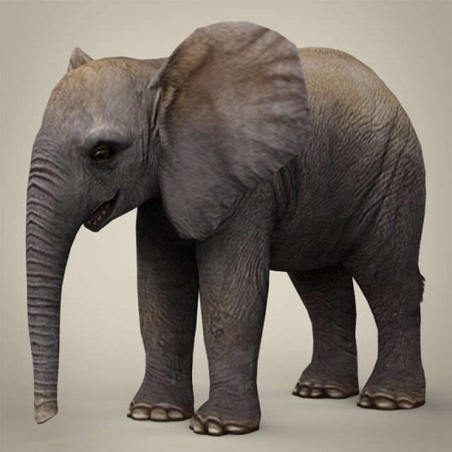 low poly baby elephant 3D Model .c4d .max .obj .3ds .fbx .stl .blend 