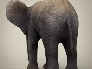 low poly baby elephant 3D Model