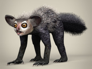 low poly aye aye 3D Model