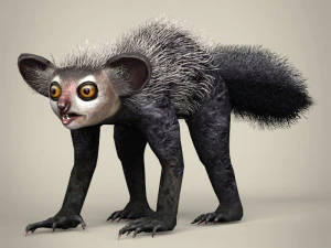 ローポリアイアイ 3Dモデル