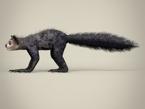 low poly aye aye 3D मॉडल