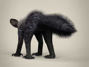 low poly aye aye 3D मॉडल