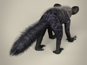 low poly aye aye 3D मॉडल