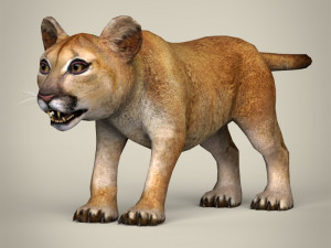 low poly lion cub 3D Model