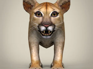 lwiątko o niskiej zawartości poli Model 3D