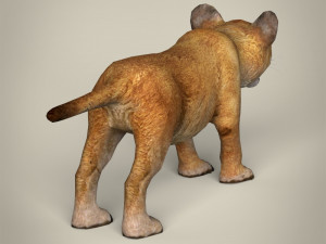 low poly lion cub Modelo 3D