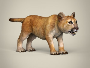 low poly lion cub Modelo 3D