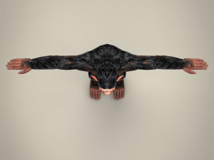 low poly realistic chimpanzee Modelo 3D