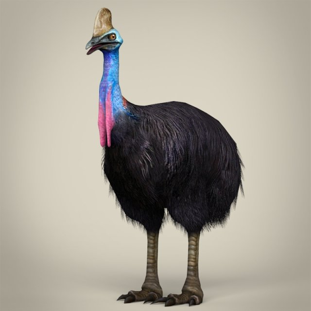 low poly cassowary Modelo 3D .c4d .max .obj .3ds .fbx .stl .blend 