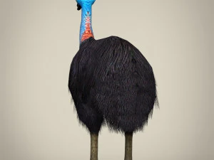 low poly cassowary 3D Model