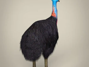 low poly cassowary 3D Model