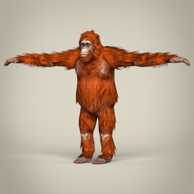 low poly orangutan Modello 3D .c4d .max .obj .3ds .fbx .stl .blend 