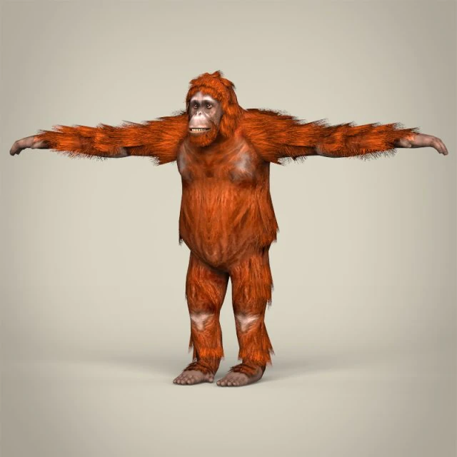 low poly orangutan 3D Model .c4d .max .obj .3ds .fbx .stl .blend 