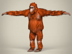 low poly orangutan 3D Model