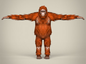 low poly orangutan Modello 3D