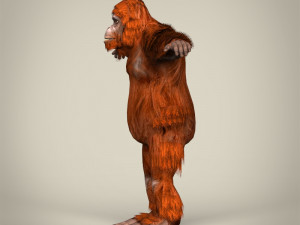 low poly orangutan Modello 3D