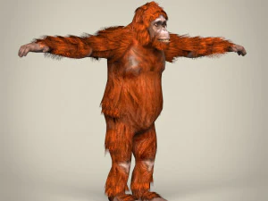 low poly orangutan 3D Model