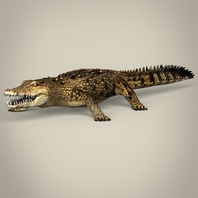 low poly crocodile 3D-Modell .c4d .max .obj .3ds .fbx .stl .blend 