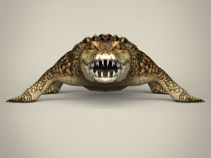 low poly crocodile 3D-Modell