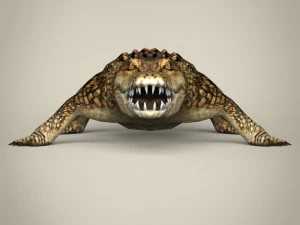 low poly crocodile 3D Model