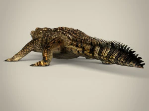 low poly crocodile 3D Model