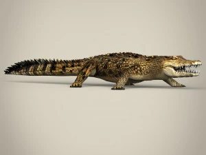 low poly crocodile 3D Model