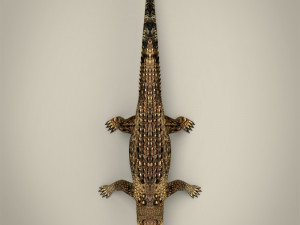 low poly crocodile 3D-Modell
