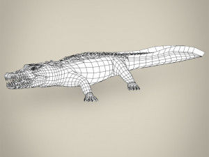 low poly crocodile 3D-Modell