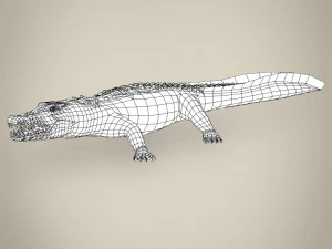 low poly crocodile 3D Model