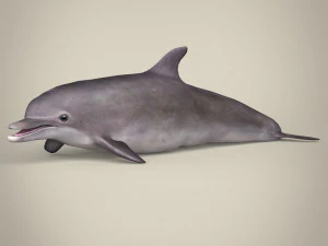 Low-Poly-Delfin 3D Modell