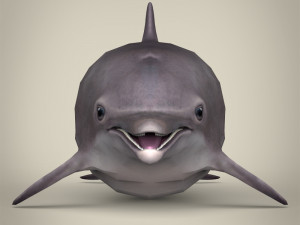 low poly dolphin 3Dモデル