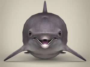 delfino low poly Modello 3D