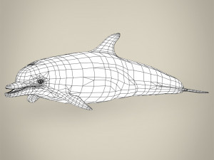 low poly dolphin 3Dモデル