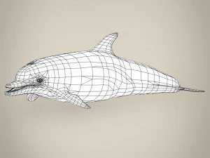 delfino low poly Modello 3D