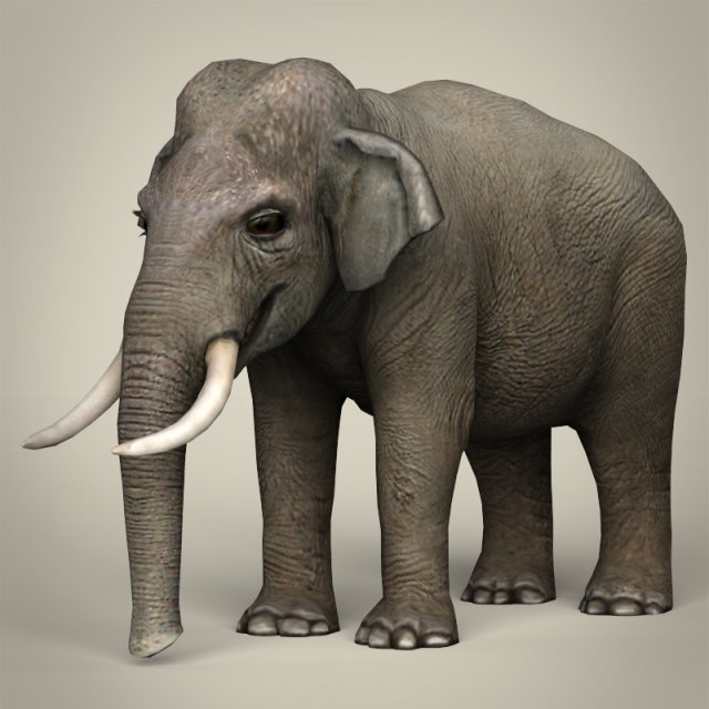 low poly realistic elephant 3D Модель .c4d .max .obj .3ds .fbx .stl .blend 