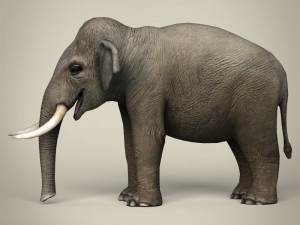 low poly realistic elephant 3D Модель