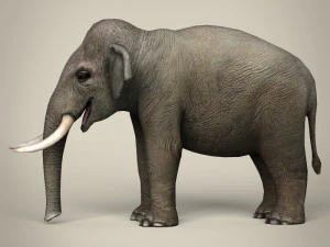 low poly realistic elephant 3D Model