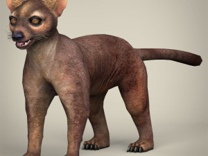 low poly fossa 3D Model