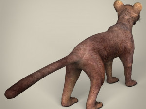 low poly fossa 3Dモデル