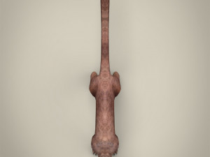 low poly fossa 3Dモデル