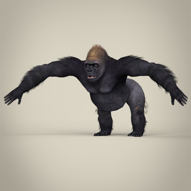 low poly gorilla 3D Модель .c4d .max .obj .3ds .fbx .stl .blend 