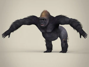 gorilla basso poli Modello 3D