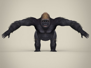 low poly gorilla 3D Модель