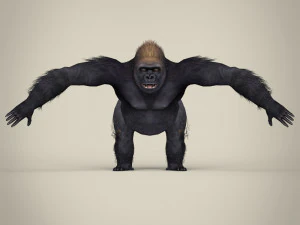 low poly gorilla 3D Model