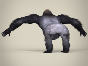 low poly gorilla 3D Модель
