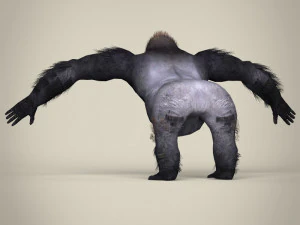 low poly gorilla 3D Model