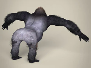 low poly gorilla 3D Model