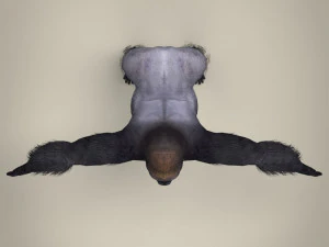 low poly gorilla 3D Model