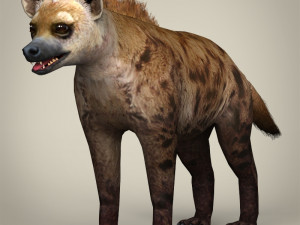 low poly hyena 3D Model